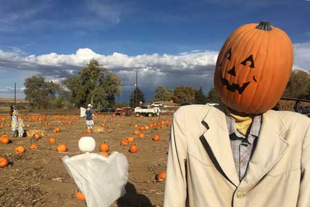 5 Accessibility Tips for Attending Fall Fairs and Pumpkin Patches