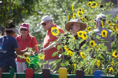 Horticultural Therapy at Growing Gardens