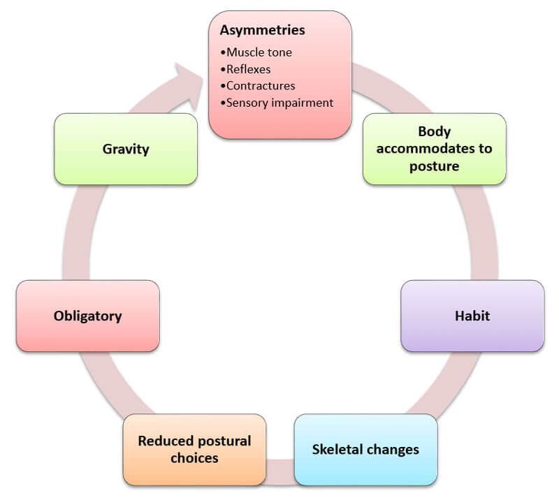 The Cycle of Asymmetries