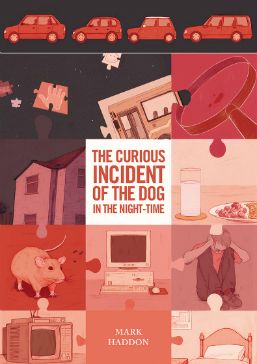 The Curious Incident of the Dog in the Night-Time book cover