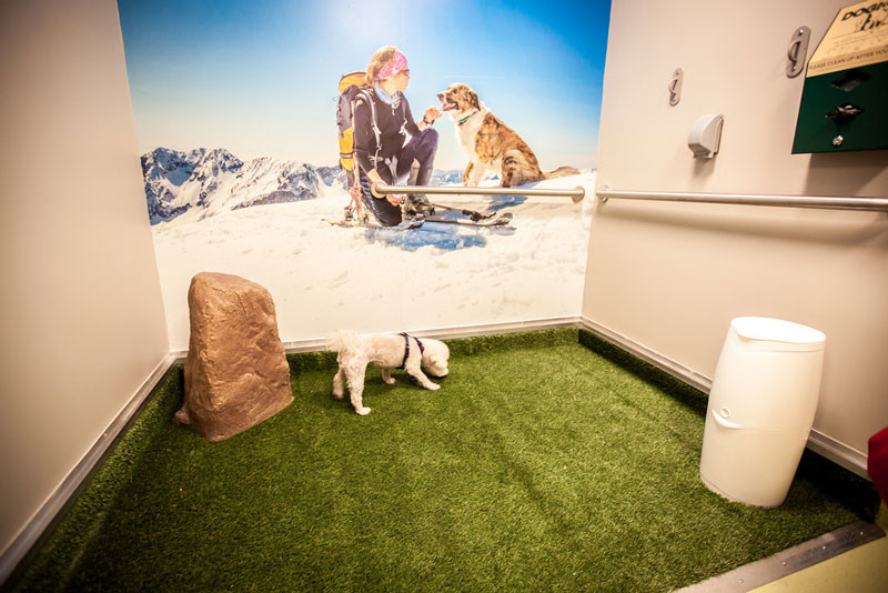 Service dog using the pet relief area in Denver International Airport