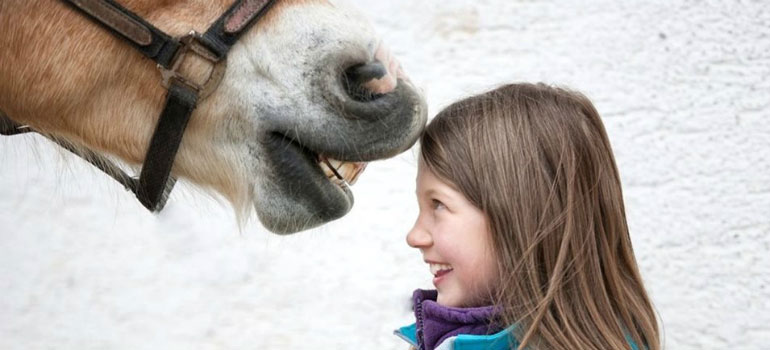 A little girl with a horse