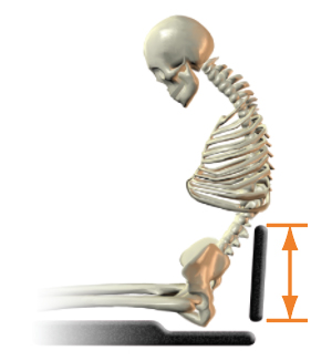 Thoracic support (height) - too low