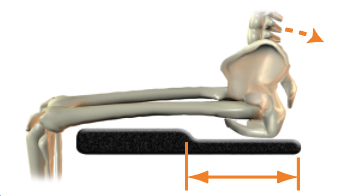 Pelvic contour length - too long